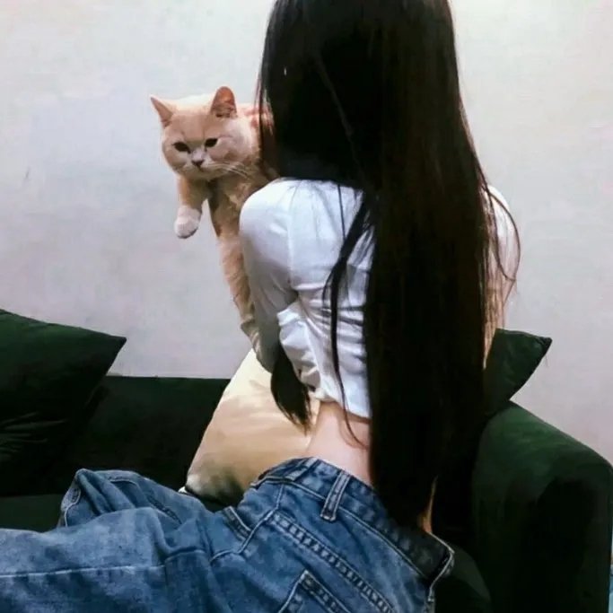 伯纳德与休伊