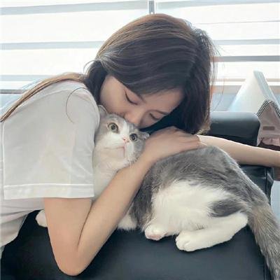 嘟嘟猫观察日记